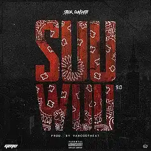 Picture for song 'Suu Wuuu 9.0 MIX' by artist 'Stack Gunsmith'