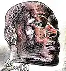 Picture for song 'Magic Baby' by artist 'SandeO'