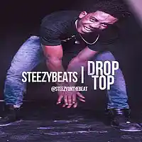 Picture for song 'Drop Top' by artist 'SteezyOnTheBeat'