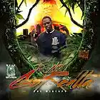 Song picture