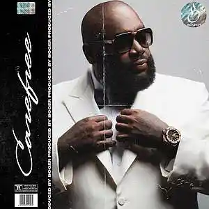 Picture for song 'Carefree (Soulful Type Beat)' by artist 'BOGER'