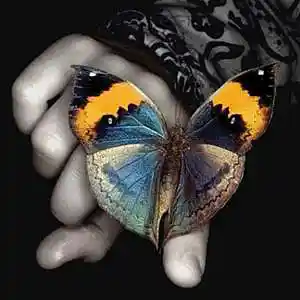 Picture for song 'Rock These Blues - featuring Jimmy Dean Brooks' by artist 'Carol Sue Kirkpatrick'