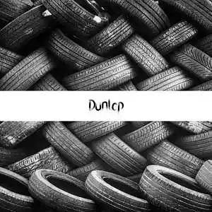 Picture for song 'Dunlop (Smooth Breakbeat Type Beat) - Devezin.com' by artist 'Devezin'