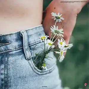 Picture for song 'Daisies' by artist 'Ezhdee'