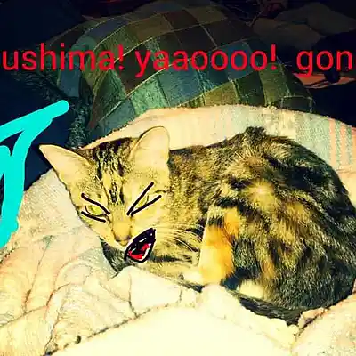 Picture for song 'Project_12' by artist 'Err0r'