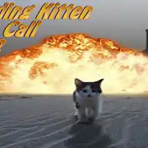 Picture for song 'Exploding Kitten 2' by artist 'JoshPranks'
