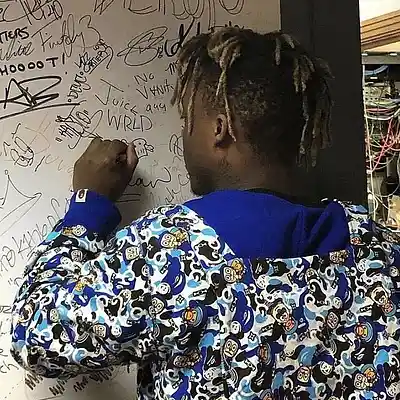 Picture for song 'Juice WRLD Type Beat "SATIN"' by artist 'kamiprod'