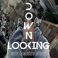 Picture for song 'Looking Down (Meek Lion Instrumental)' by artist 'Meek Lion Instrumental'