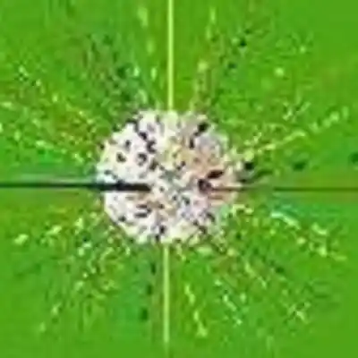 Picture for song 'KALEO' by artist 'Michele Lagioia'