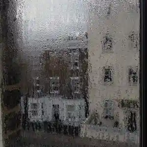 Song picture