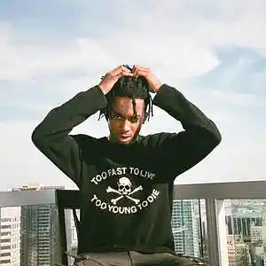 Picture for song 'Pierre Bourne x Playboi Carti Type Beat - Genius' by artist 'shineclyde'