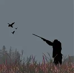 Picture for song 'i-dont-like-birds' by artist 'Timmy Shawn Mills'