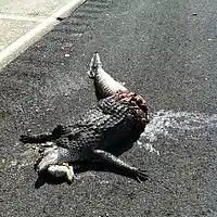 Picture for song '10 Bandz Verse (The Warm-Up)' by artist 'Venomous X'