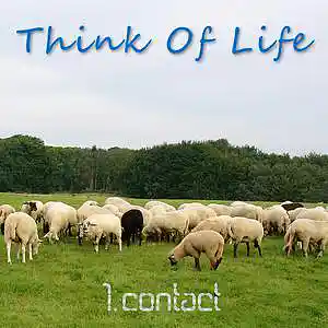 Picture for song 'Think Of Life' by artist '1st Contact'