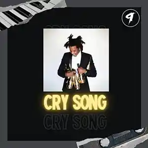 Picture for song 'Cry Song' by artist '9ELEVEN BEATS'