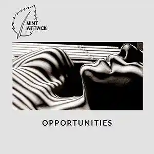 Picture for song 'Opportunities' by artist 'Mint Attack'