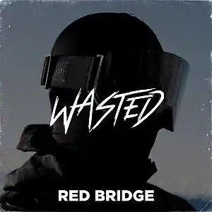 Picture for song '"Wasted" Freestyle Type Beat' by artist 'Red Bridge Production'