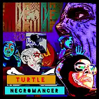 Picture for song 'Upright' by artist 'Turtle Necromancer'