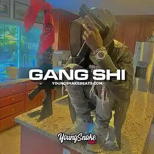 Picture for song '"GANG SHI" - Big 30 x Big Scarr x Memphis Type Bea' by artist 'Young Snake Beats'