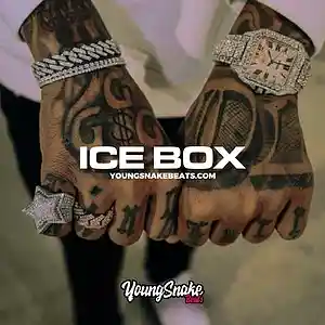 Picture for song '"ICE BOX" - Big 30 x Big Scarr x Pooh Shiesty Type' by artist 'Young Snake Beats'