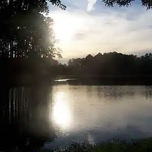 Picture for song 'Sunday Afternon Chillin'' by artist 'Jerry Kratzmeyer'