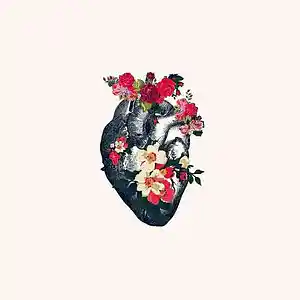 Picture for song 'This Feeling' by artist 'Kontrabandz'