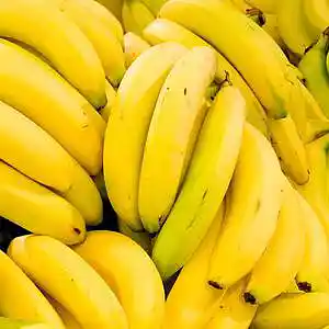 Picture for song 'GO BANANAS' by artist 'Mike B is for Byj'