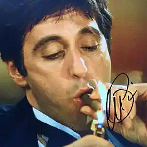 Picture for song 'Tory Lanez x Tyga Type Beat (*Sample*)' by artist 'NiqueProduction'