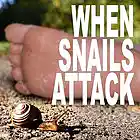 Picture for song 'HOLY SH IT!' by artist 'WHEN SNAILS ATTACK'