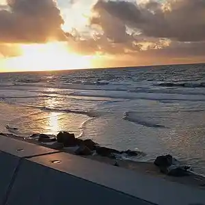 Picture for song '20240122_170327_074006' by artist '786 scheint-Al'lahs Bande'