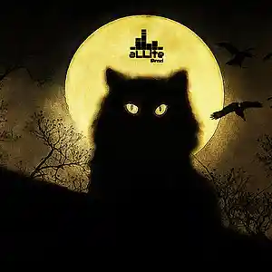 Picture for song 'Superstition' by artist 'aLLite prod.'