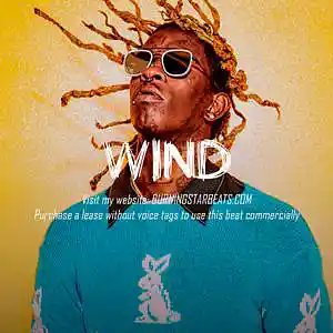 Picture for song 'WIND (Young Thug x Futute x Flute x Trap Beat)' by artist 'BURNING STAR'