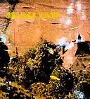 Picture for song 'Fluechtige Begegnung mit bleibendem Eindruck' by artist 'Gelbes Haus'