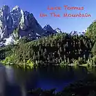 Picture for song 'On the mountain' by artist 'Lace Tomus'