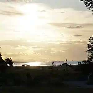 Picture for song 'desert home' by artist 'Mattila'