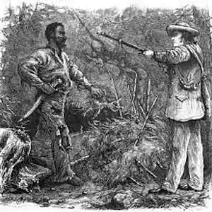 Picture for song 'Nat Turner' by artist 'Meja Leesome'