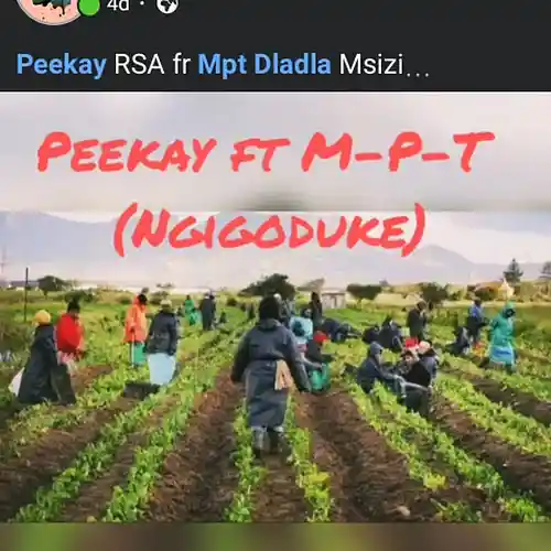 Picture for song 'SENGBONA ncono ngigoduke_074027' by artist 'Peekay'