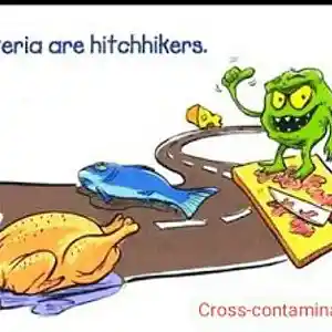 Picture for song 'Cross Contaminated' by artist 'Pete Moss and the Weed Wackers'