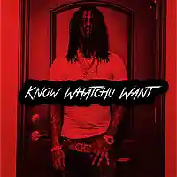 Picture for song '*Know Whatchu Want* New Beat (Free DL)' by artist 'Sean Bentley'
