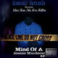 Picture for song '01 - Mind Of A Insane Murderer' by artist 'slicc ken the hoe killer'