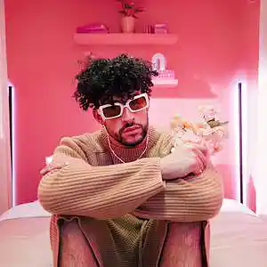 Picture for song 'Todo lo Que Pido *Bad Bunny Type Beat* FREE D/L' by artist 'THE NETRUNNERS'