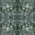 Picture for song 'Occam's razor.' by artist 'Torrey Desmond Rogers - sound tapestry'