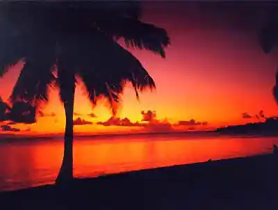 Picture for song 'Sunset' by artist 'Van Felda'