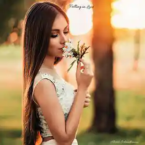 Picture for song 'Falling in Love' by artist 'Alexios Schandermani'