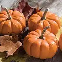 Picture for song 'It's Not Happening' by artist 'Douglas Kirby'