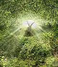Picture for song 'Garden of Eden' by artist 'Mark Hawkins'