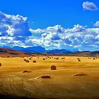 Picture for song 'Prairie' by artist 'Peter Kosta's Galaxy Rock Band'