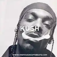 Picture for song 'Ku$h' by artist 'TheToughGuys'