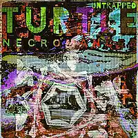 Picture for song 'Untrapped' by artist 'Turtle Necromancer'