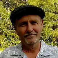 Picture for song 'thewificowboys sixstringheart' by artist 'WOODYWOODSON'